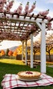 Thanksgiving Pie On A Blanket Under A Blossom-Covered Pergol. Generative AI Royalty Free Stock Photo