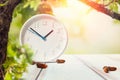 The concept of time change. Clocks and leaves on a wooden white table with acorns. Copy space Royalty Free Stock Photo