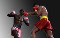 Concept of trade war between USA and China. Boxing Fighting Royalty Free Stock Photo