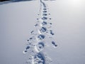 A Trail Of Footprints In The Snow. Generative AI