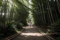 Tranquil Bamboo Forest Walk Sunlit Pathways Amidst Nature s Beauty.AI Generated