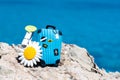 Concept travel to the sea. Stylish suitcase against the blue sea Royalty Free Stock Photo