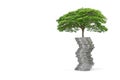 concept tree growth on money for your saving