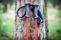Concept of trekking poles near tree in forest Royalty Free Stock Photo