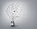 Concept of a utopian idea. Broken light bulb Royalty Free Stock Photo