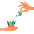 Concept vector illustration, human hand with small watering can is watering green plants in a pot