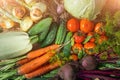 The concept of a vegetable harvest just from the garden. Fresh cabbage, zucchini, carrots, cucumbers, tomatoes, beets, onions, gar Royalty Free Stock Photo