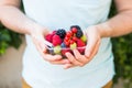 Concept of vegetarians, raw food and diets - close-up of man`s hands hold fruits and berries Royalty Free Stock Photo