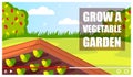 Concept of video player interface, shooting video of growing vegetable garden, video tutorial Royalty Free Stock Photo