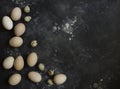 Composition of chicken and quail eggs at black background Royalty Free Stock Photo