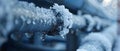 Frost-Proof Your Pipes: Minimalist & Effective. Concept Winterization, Pipe Insulation, Prevent