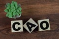 Concept of The wooden Cubes with the word CAO Royalty Free Stock Photo