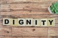 Concept of The wooden Cubes with the word Dignity on wooden background Royalty Free Stock Photo