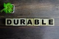 Concept of The wooden Cubes with the word Durable on wooden background Royalty Free Stock Photo