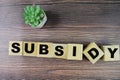 Concept of The wooden Cubes with the word Subsidy on wooden background