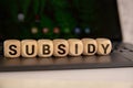 Concept of The wooden Cubes with the word Subsidy on wooden background