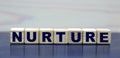 Concept word NURTURE on cubes on a beautiful blue background