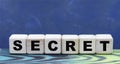 Concept word SECRET on wooden cubes on a gray background