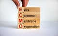 Concept words `ECMO, Extra Corporeal Membrane Oxygenation` on cubes and blocks on a beautiful white background. Male hand. Copy