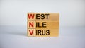 Concept words `WNV, West Nile virus` on cubes and blocks on a beautiful white background. Business concept. Copy space