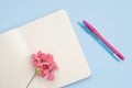 Concept workplace. White open notebook for notes, ballpoint pen, pink flower on a blue background, place for text, copy space. Top Royalty Free Stock Photo