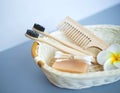 The concept of zero waste. bamboo toothbrush, solid shampoo Royalty Free Stock Photo