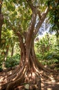 Conception garden, jardin la concepcion in Malaga (Spain) Royalty Free Stock Photo