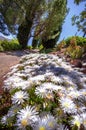 Conception garden, jardin la concepcion in Malaga (Spain) Royalty Free Stock Photo