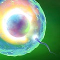 Conception ovum and sperm Royalty Free Stock Photo