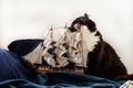 Concepts of business and creativity. giant black and white cat gnaws mast of a model of a sailing ship in a blue bedding. Royalty Free Stock Photo