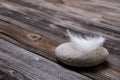 Concepts: Natural wooden background with stone and white feather