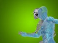 Conceptual Anatomy human body on green