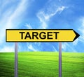 Conceptual arrow sign against beautiful landscape with text - TARGET