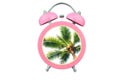 Conceptual art time to relax : coconut tree within pink alarm clock isolated on white background Royalty Free Stock Photo