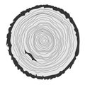 Conceptual background with tree-rings. Vector graphics. Royalty Free Stock Photo