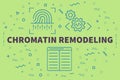 Conceptual business illustration with the words chromatin remodeling Royalty Free Stock Photo