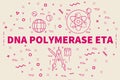 Conceptual business illustration with the words dna polymerase e Royalty Free Stock Photo