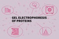 Conceptual business illustration with the words gel electrophoresis of proteins