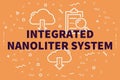 Conceptual business illustration with the words integrated nanoliter system