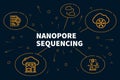 Conceptual business illustration with the words nanopore sequencing