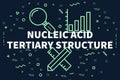 Conceptual business illustration with the words nucleic acid tertiary structure