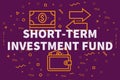 Conceptual business illustration with the words short-term investment fund