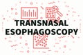 Conceptual business illustration with the words transnasal esophagoscopy