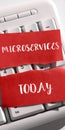 Conceptual display Microservices. Internet Concept Software development technique Building single function module Royalty Free Stock Photo