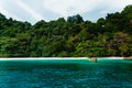 Conceptual cinematic color of the beach and long tail boat in Fl