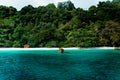 Conceptual cinematic color of the beach and long tail boat in Flower Island in Thailand.
