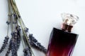 Detailed luxury black and red bottle of perfume with crystal lid Royalty Free Stock Photo