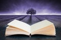 Conceptual composite open book image of Beautiful image of lavender field landscape with single tree toned in mauve