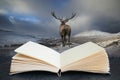 Conceptual composite open book image of Beautiful red deer stag in snow covered mountain range festive seasonal Winter landscape