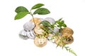 Conceptual cryptocurrency bitcoin with plant growing from within